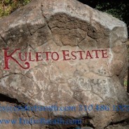 Kuleto Winery: a must visit destination in Napa, CA