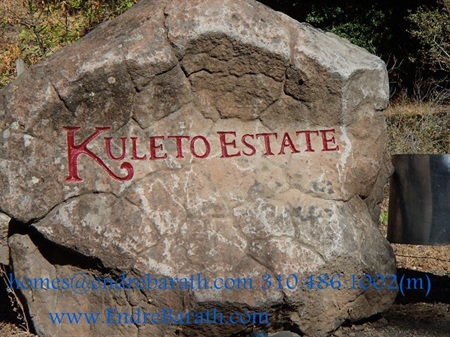 Kuleto Winery: a must visit destination in Napa, CA