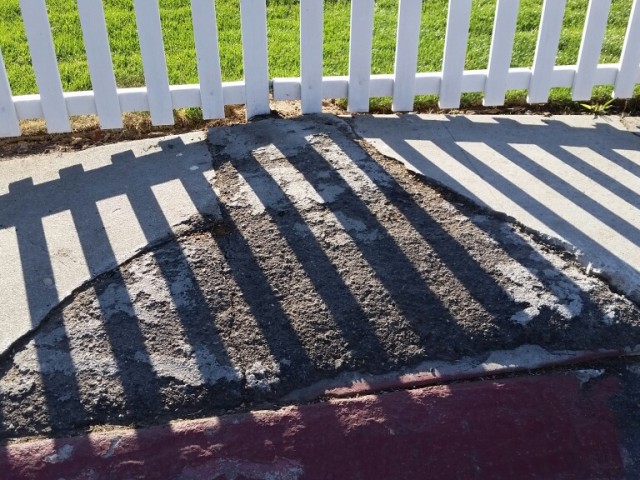 Tree Roots and Developers: Seriously will this be a cost savings?