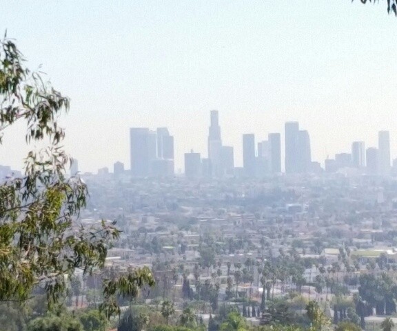 6163 Temple Hill, View Lot in Hollywood Hills, CA 90068 SOLD!