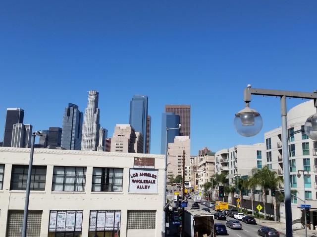 Downtown Los Angeles Views