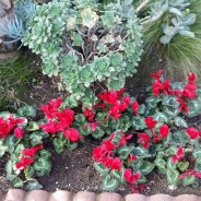 Are you ready for Spring Selling season in the Greater Los Angeles area?