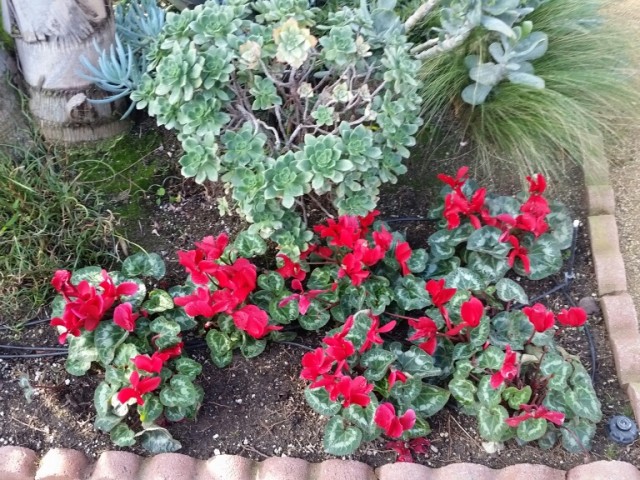 Are you ready for Spring Selling season in the Greater Los Angeles area?