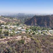 Time Flies! Looking Back on Ten Years  A Perspective by Endre Barath, Jr.  Beverly Hills, Pet Friendly Realtor