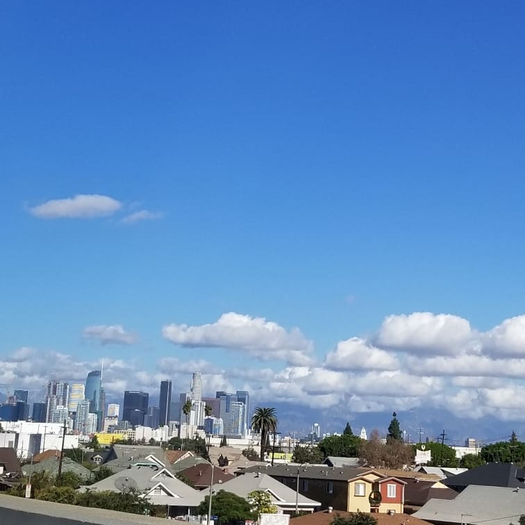 Los Angeles Skyline