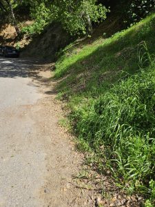 Vacant Land in Bel Air