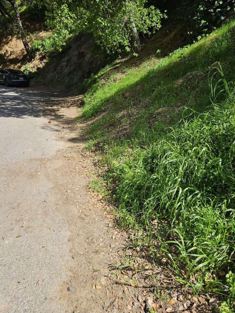 Vacant Land in Bel Air