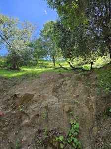 Fantastic land in 90077 zip code