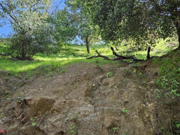 Fantastic land in 90077 zip code