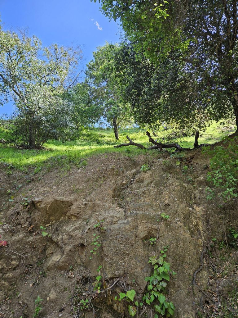 Fantastic land in 90077 zip code