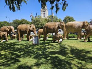 The great Elephant Migration