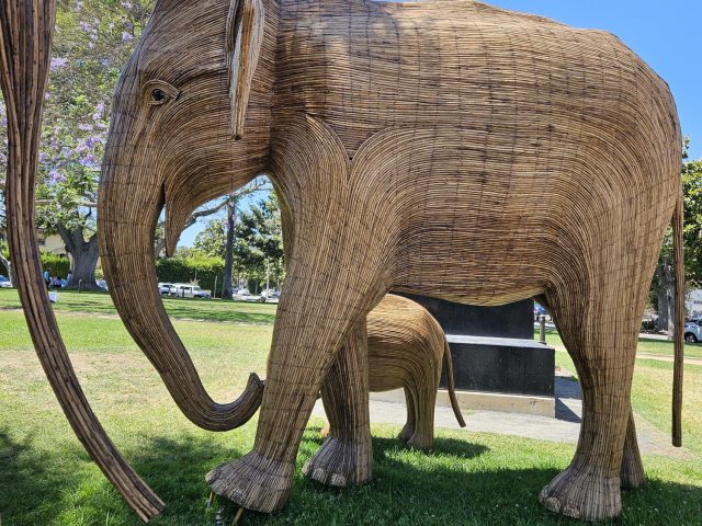 The Great Elephant Migration arrives in Beverly Hills – A Time Sensitive Blog Post!