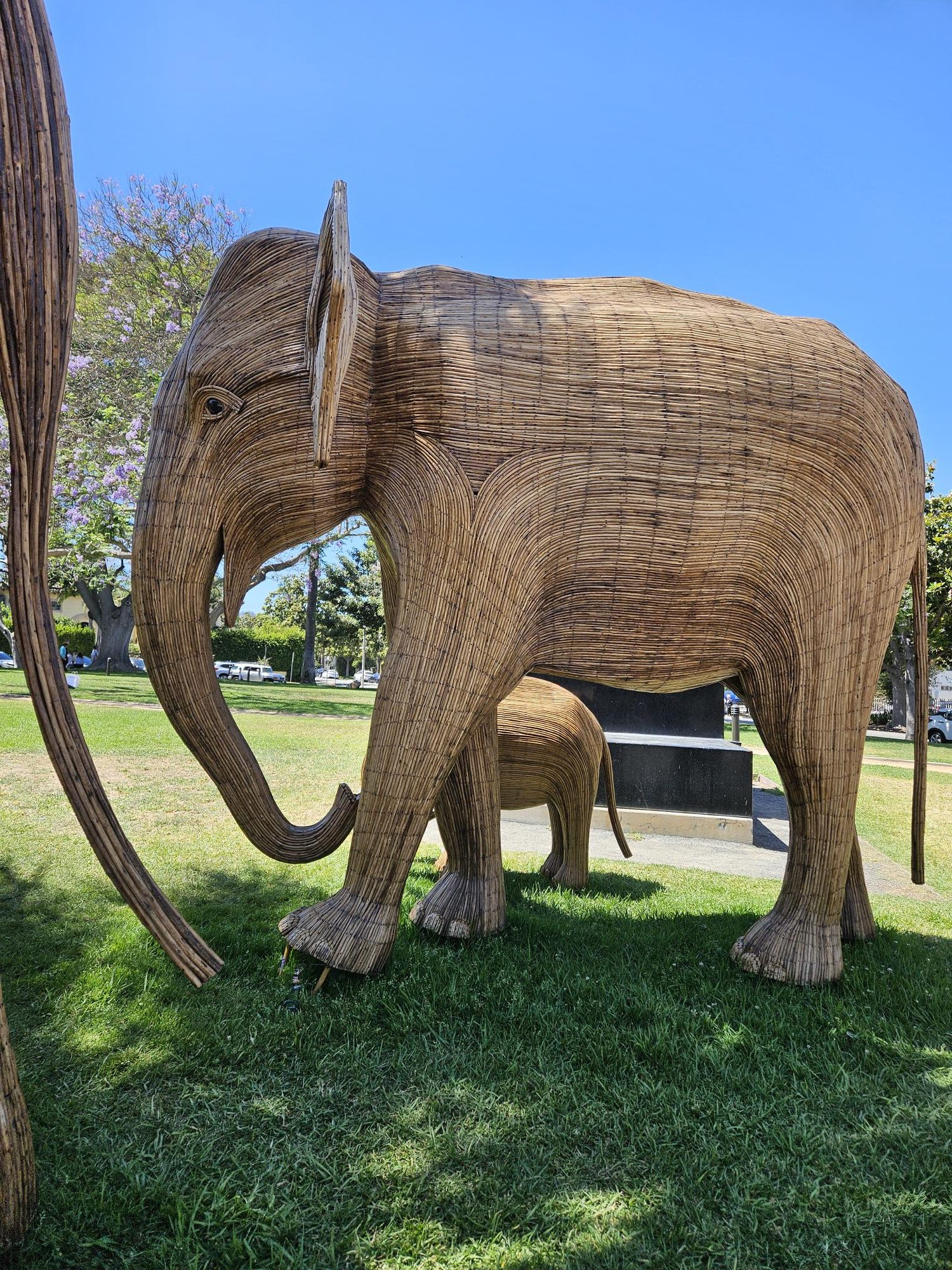 The Great Elephant Migration