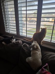 Good to be inside looking out