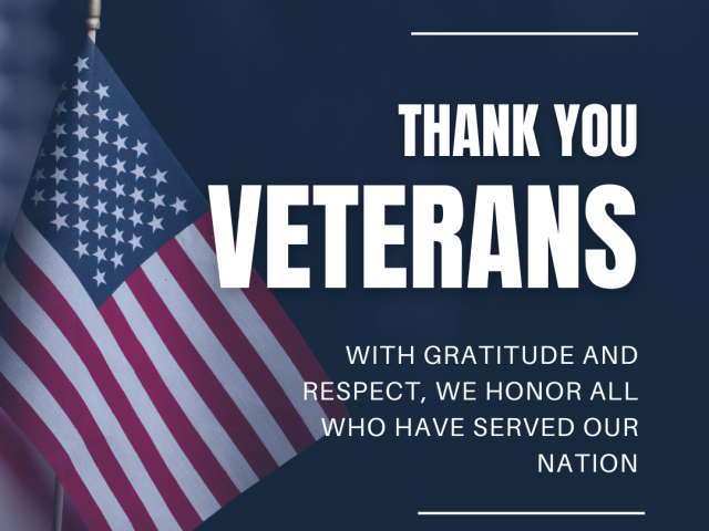 Honoring those who served in all branches of the United States Military: Veterans Day!