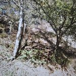 great lot in the Montclair district of Oakland