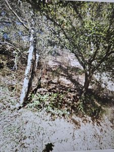 great lot in the Montclair district of Oakland